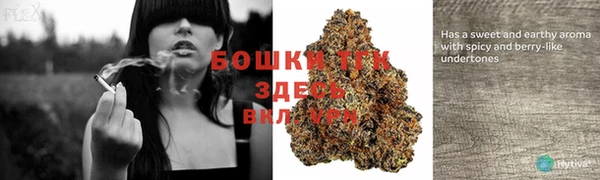 стаф Пестово