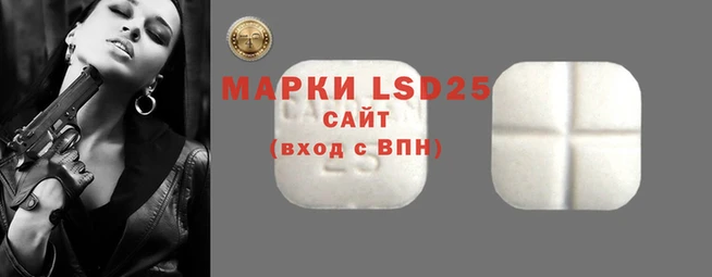 стаф Пестово