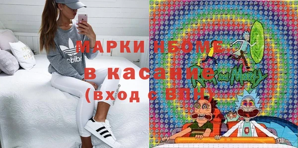 стаф Пестово