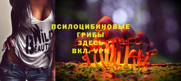 стаф Пестово