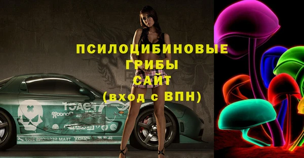 стаф Пестово