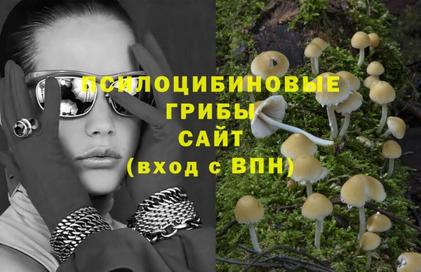 стафф Переславль-Залесский
