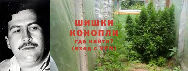 стаф Пестово