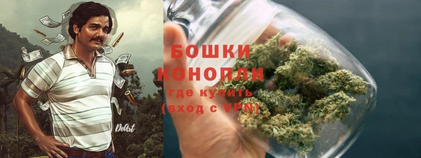 стаф Пестово