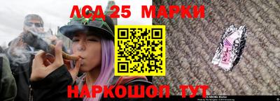 прущие грибы Балашиха