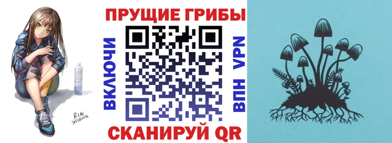 Галлюциногенные грибы мухоморы  где купить   Богородск 