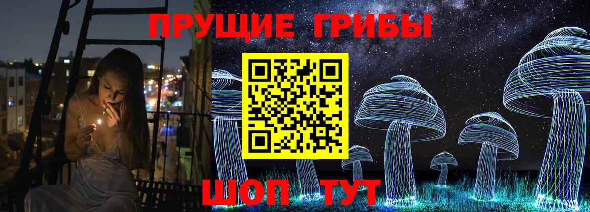 купить закладку  Галлюциногенные грибы Magic Shrooms  Богородск  Псилоцибиновые грибы прущие грибы 