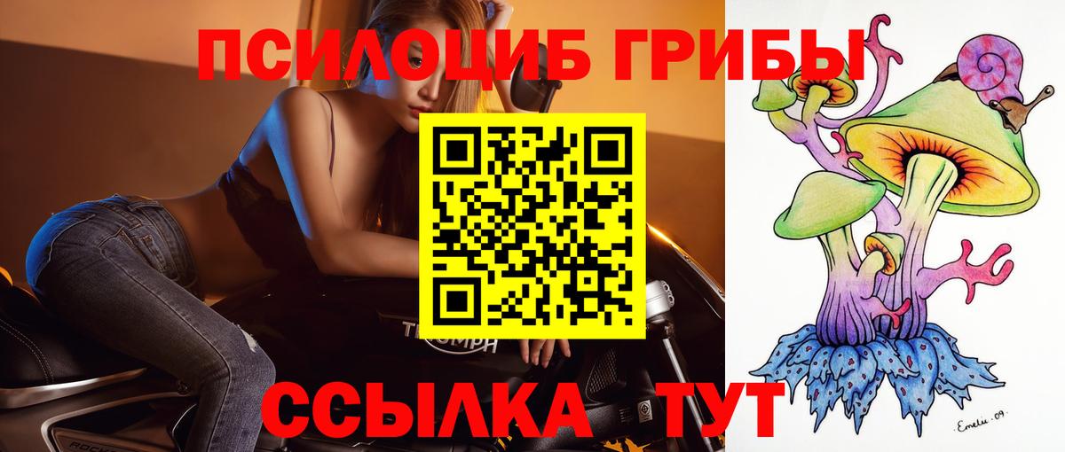 Галлюциногенные грибы ЛСД Богородск